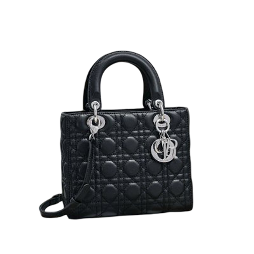 Dior Handbag