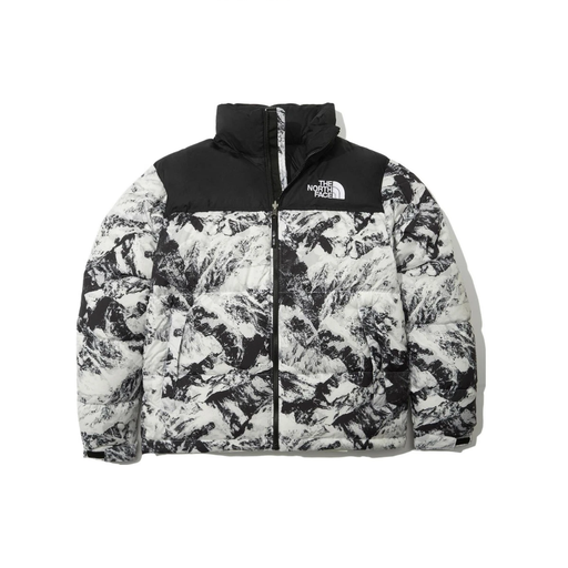 The North Face down jacket