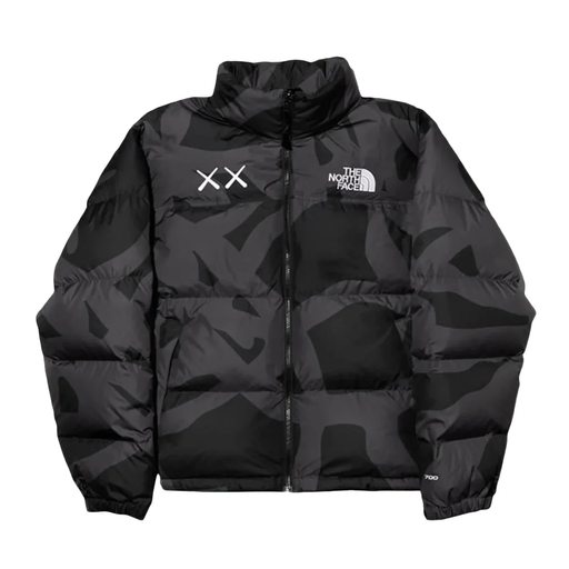 The North Face down jacket