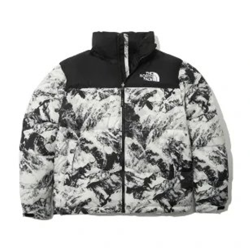 The North Face down jacket