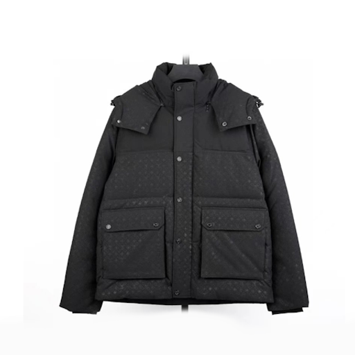 LV Louis Vuitton down jacket