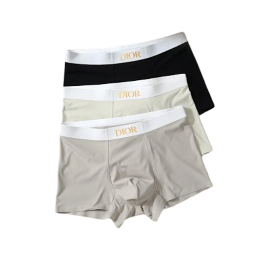 DIOR Underwear