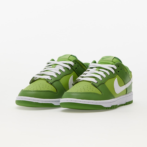 Nike Dunk Sneakers