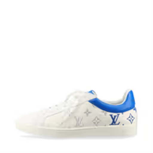 Louis Vuitton Shoes