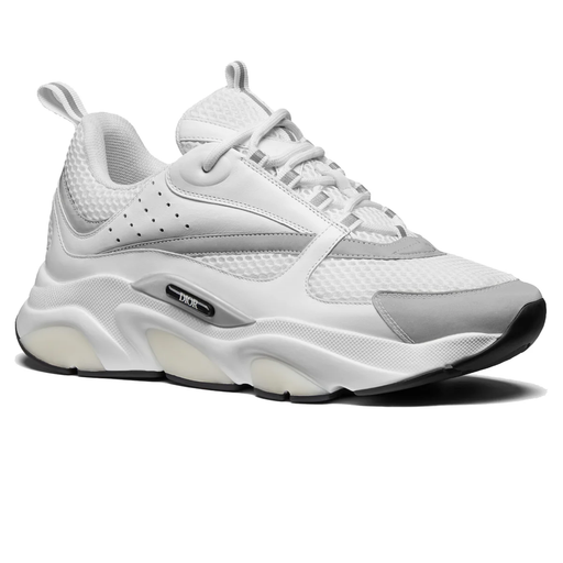 Dior B22 Neo Shoes