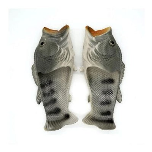 Fish Slides